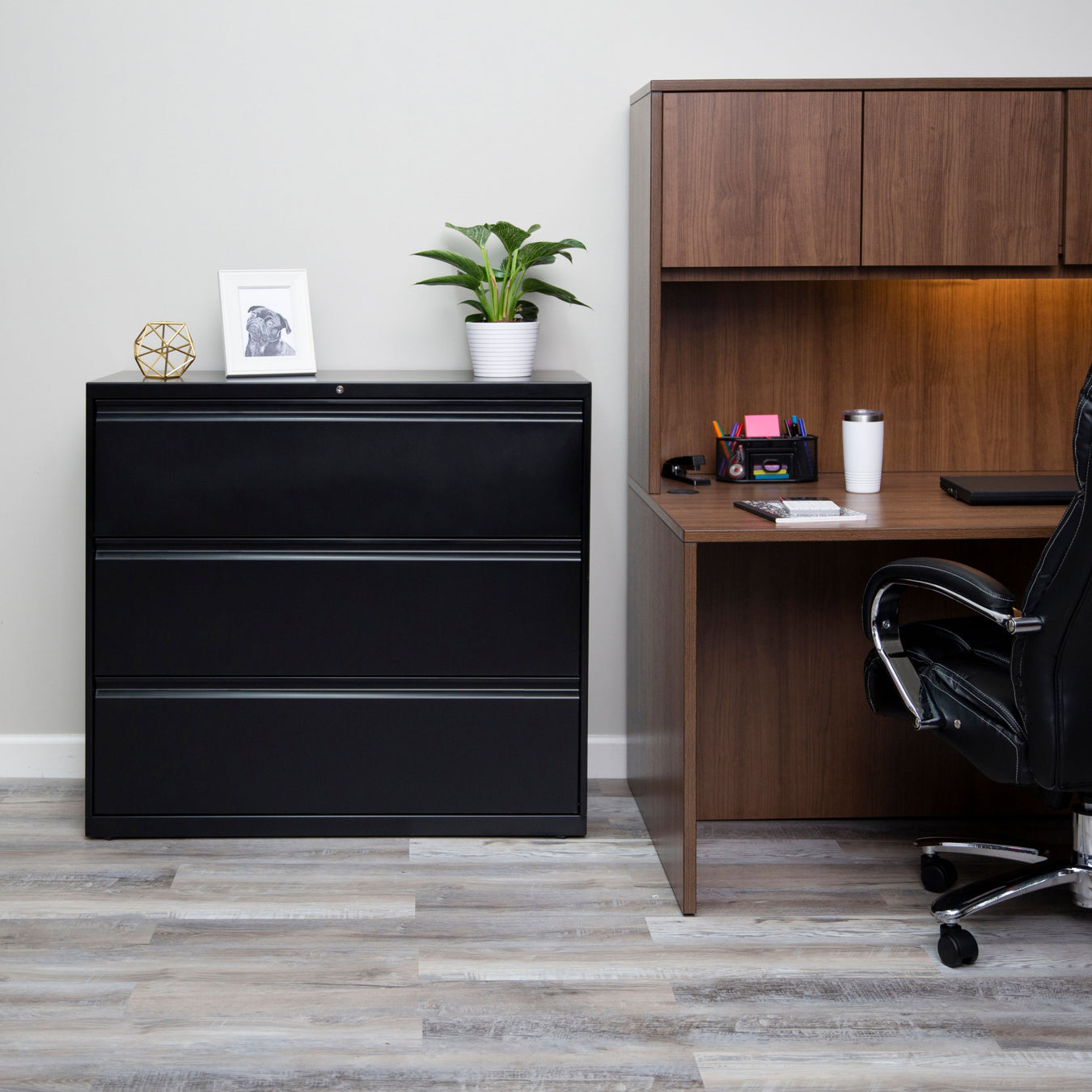 The Alera Story — Alera Details